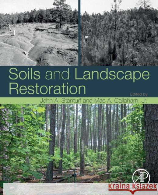 Soils and Landscape Restoration John A. Stanturf Mac A. Callaham 9780128131930 Academic Press - książka