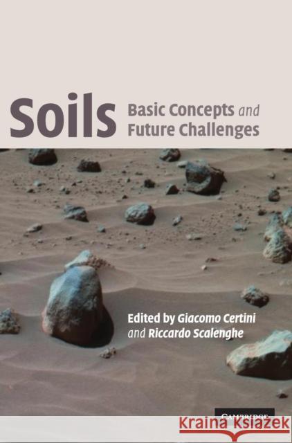 Soils: Basic Concepts and Future Challenges Giacomo Certini Riccardo Scalenghe 9780521851732 Cambridge University Press - książka