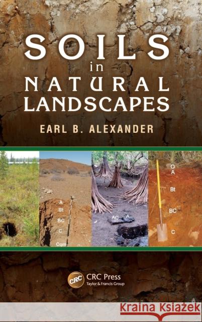 Soils in Natural Landscapes Earl B. Alexander 9781466594357 CRC Press - książka