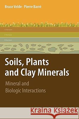 Soils, Plants and Clay Minerals: Mineral and Biologic Interactions Velde, Pierre 9783642034985 Springer - książka