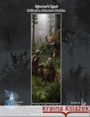 Sojourner's Quest: Sultharian Adventure Modules Randall C. Ellis 9781491074633 Createspace - książka