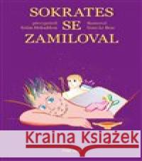 Sokrates se zamiloval Yann Le Bras 9788090853201 Pink Box - książka