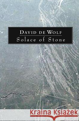 Solace of Stone David De Wolf 9781482712971 Createspace - książka