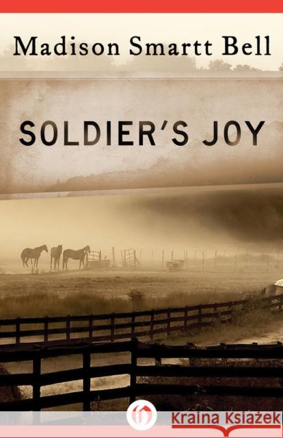 Soldier's Joy Madison Smartt Bell 9781453241165 Open Road Integrated Media LLC - książka