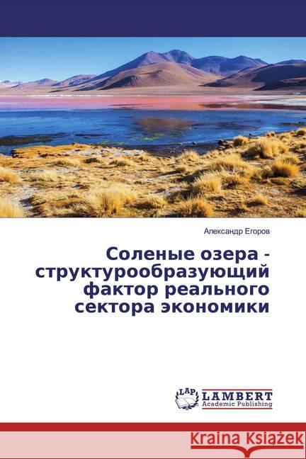 Solenye ozera - strukturoobrazuüschij faktor real'nogo sektora äkonomiki Egorov, Alexandr 9786139471140 LAP Lambert Academic Publishing - książka