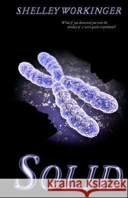 Solid: Book 1 Shelley Workinger 9781453624821 Createspace - książka