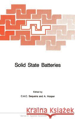 Solid State Batteries A. Hooper C. A. C. Sequeira Cesar A. Sequeira 9789024732364 Springer - książka
