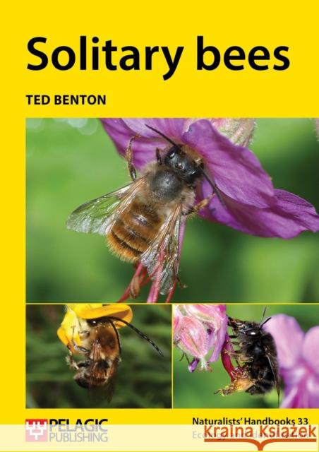 Solitary bees Ted Benton 9781784270889 Pelagic Publishing - książka