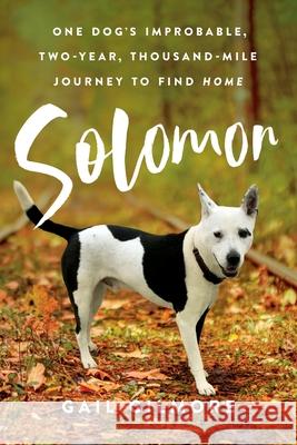 Solomon: One Dog's Improbable, Two-year, Thousand-mile Journey to Find Home Gail Gilmore 9781951937942 Epigraph Publishing - książka