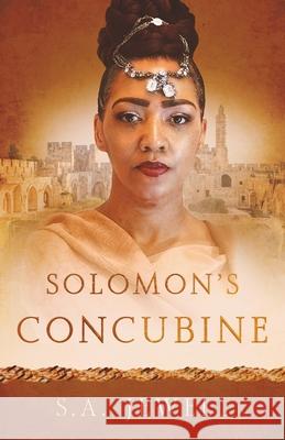 Solomon's Concubine S A Jewell 9781649601315 Ambassador International - książka