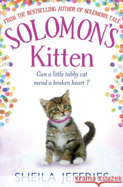 Solomon's Kitten Sheila Jeffries 9781471137600 Simon & Schuster Ltd - książka