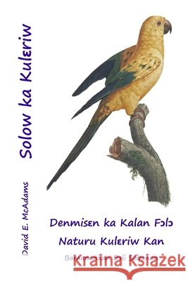 Solow ka Kulɛriw McAdams, David E. 9798902892991 Life Is a Story Problem LLC - książka