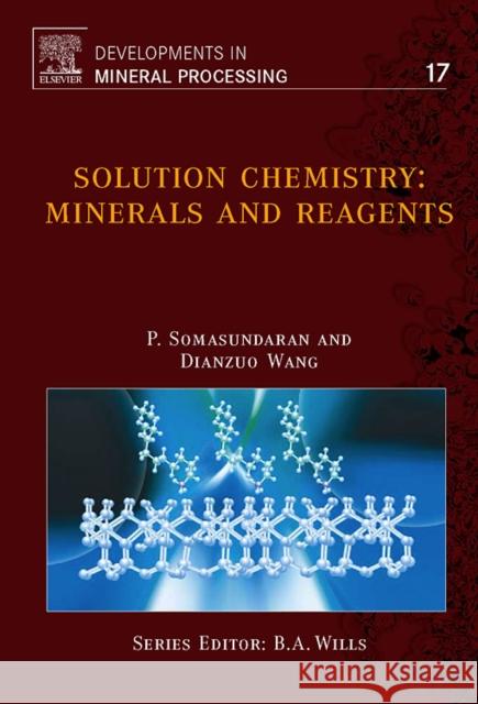 Solution Chemistry: Minerals and Reagents Volume 17 Somasundaran, P. 9780444520593 Elsevier Science & Technology - książka