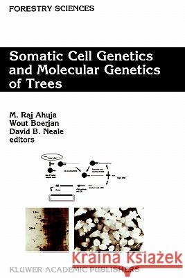 Somatic Cell Genetics and Molecular Genetics of Trees M. Raj Ahuja M. Raj Ahuja Wout Boerjan 9780792341796 Kluwer Academic Publishers - książka