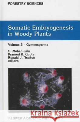 Somatic Embryogenesis in Woody Plants: Volume 3: Gymnosperms Jain, S. Mohan 9780792329381 Kluwer Academic Publishers - książka