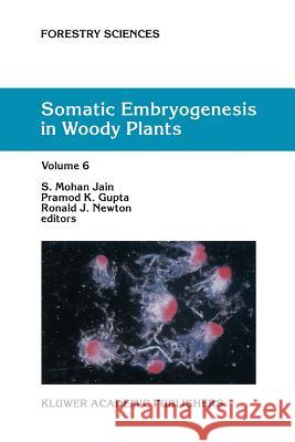 Somatic Embryogenesis in Woody Plants: Volume 6 Jain, S. M. 9789048155088 Not Avail - książka