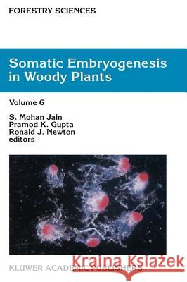 Somatic Embryogenesis in Woody Plants: Volume I Jain, S. Mohan 9780792330356 Kluwer Academic Publishers - książka