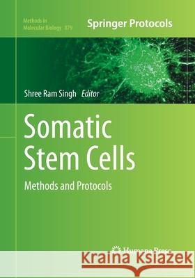 Somatic Stem Cells: Methods and Protocols Singh, Shree RAM 9781493962341 Humana Press - książka