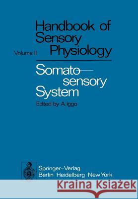 Somatosensory System Ainsley Iggo 9783642654404 Springer - książka