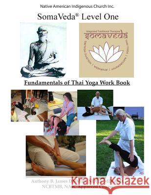 SomaVeda(R) Level One: Fundamentals of Thai Yoga Work Book James, Anthony B. 9781886338067 Meta Journal Press - książka