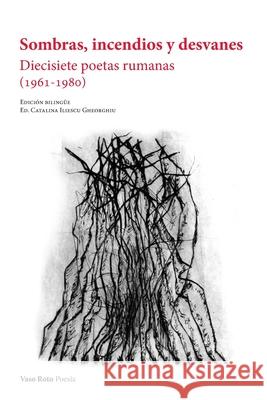 Sombras, incendios y desvanes Catalina Iliescu 9788412329322 Vaso Roto Ediciones S.L - książka