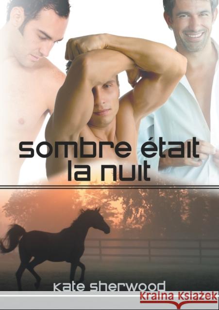 Sombre Était La Nuit (Translation) Sherwood, Kate 9781634766074 Dreamspinner Press - książka