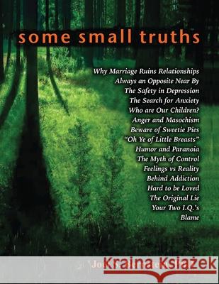 Some Small Truths Joel S. Bernstein 9780578423838 Jsb Press - książka