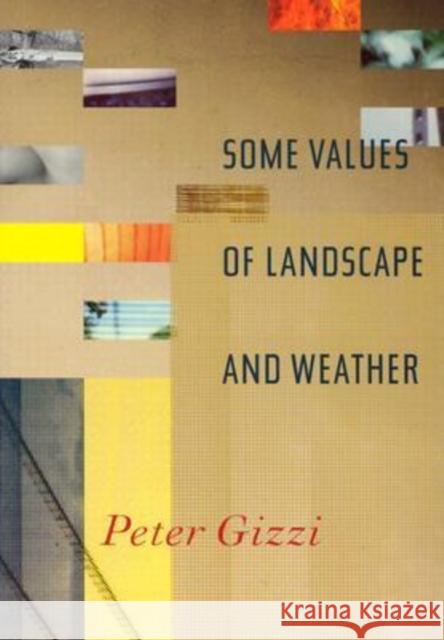 Some Values of Landscape and Weather Peter Gizzi 9780819566645 Wesleyan University Press - książka