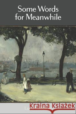 Some Words for Meanwhile Lucia Galloway 9781942371779 Futurecycle Press - książka