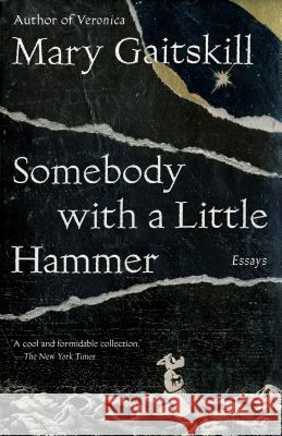 Somebody with a Little Hammer: Essays Mary Gaitskill 9780307472335 Vintage - książka