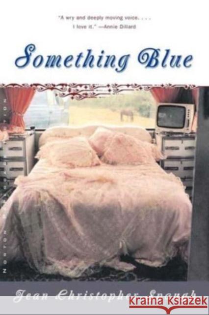 Something Blue Jean Christopher Spaugh 9780393320077 W. W. Norton & Company - książka