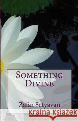 Something Divine Zafar Satyavan 9781493651375 Createspace - książka