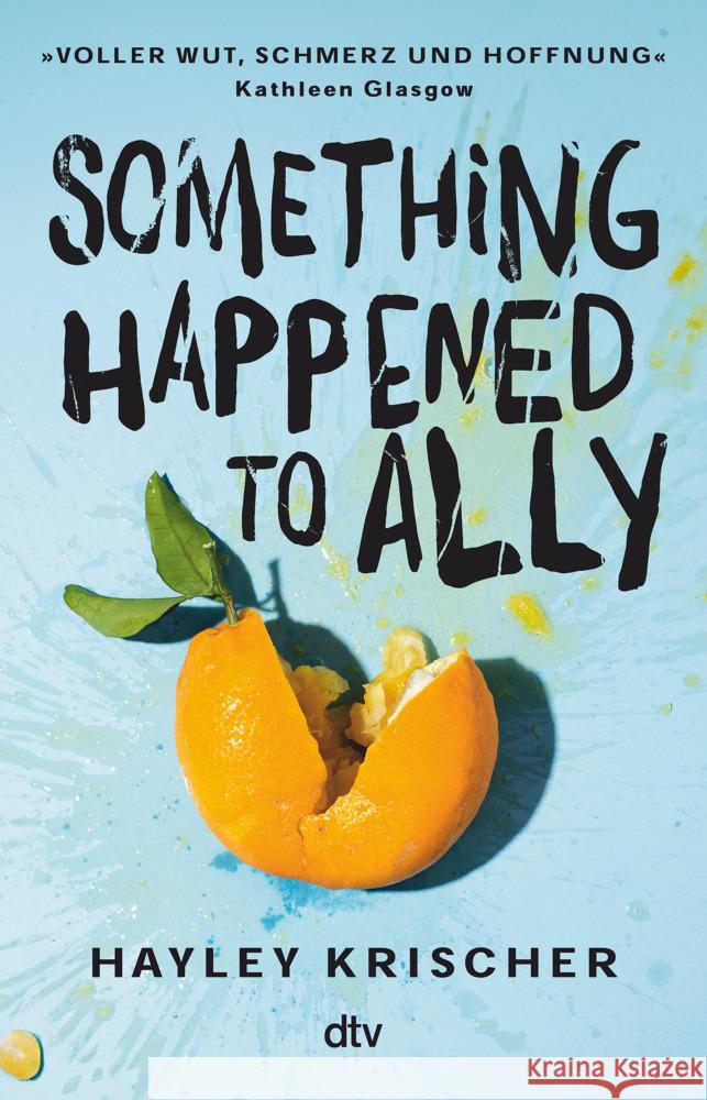 Something happened to Ally Krischer, Hayley 9783423741194 DTV - książka