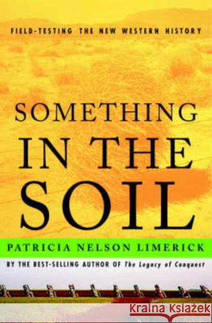 Something in the Soil: Legacies and Reckonings in the New West Limerick, Patricia Nelson 9780393321029 W. W. Norton & Company - książka