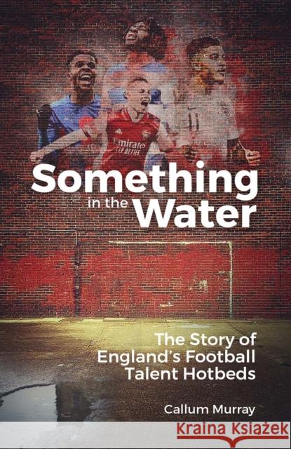 Something in the Water: The Story of England's Football Talent Hotbeds CALLUM MURRAY 9781801501606 Pitch Publishing Ltd - książka