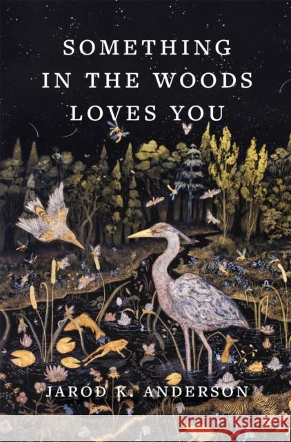 Something in the Woods Loves You Jarod K. Anderson 9781643262291 Workman Publishing - książka