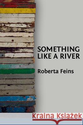 Something Like a River Roberta Feins Lana Hechtman Ayers 9781936657117 Moonpath Press - książka