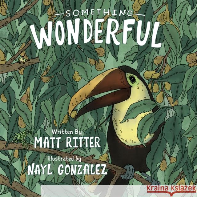Something Wonderful Matt Ritter Nayl Gonzalez 9780999896013 Pacific Street Publishing - książka
