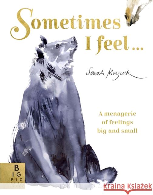 Sometimes I Feel...: A Menagerie of Feelings Big and Small Sarah Maycock 9781787417267 Templar Publishing - książka