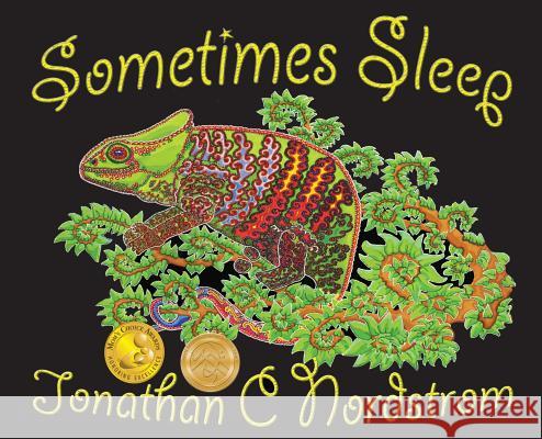 Sometimes Sleep Jonathan Nordstrom Jonathan Nordstrom 9780986243769 Reading Pandas, Inc. - książka