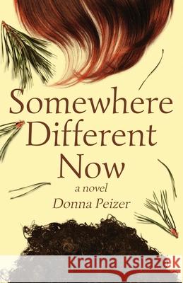 Somewhere Different Now: Coming of Age, Interracial Friendship, and the Search for Courage Peizer, Donna 9781639881635 Atmosphere Press - książka