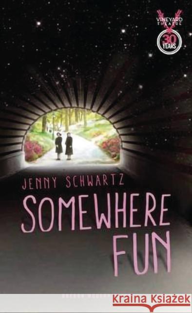 Somewhere Fun Jenny Schwartz 9781783190157  - książka