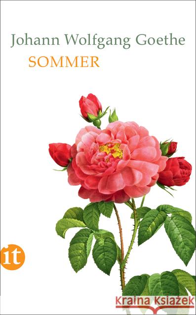 Sommer Goethe, Johann Wolfgang von 9783458363347 Insel Verlag - książka
