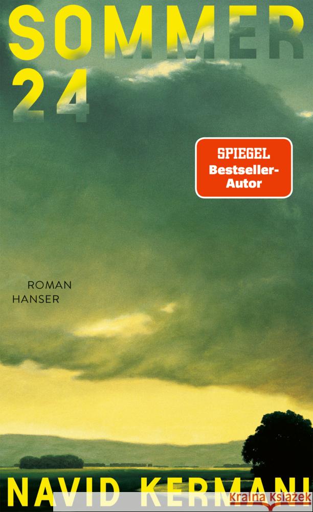 Sommer 24 Kermani, Navid 9783446285767 Hanser - książka