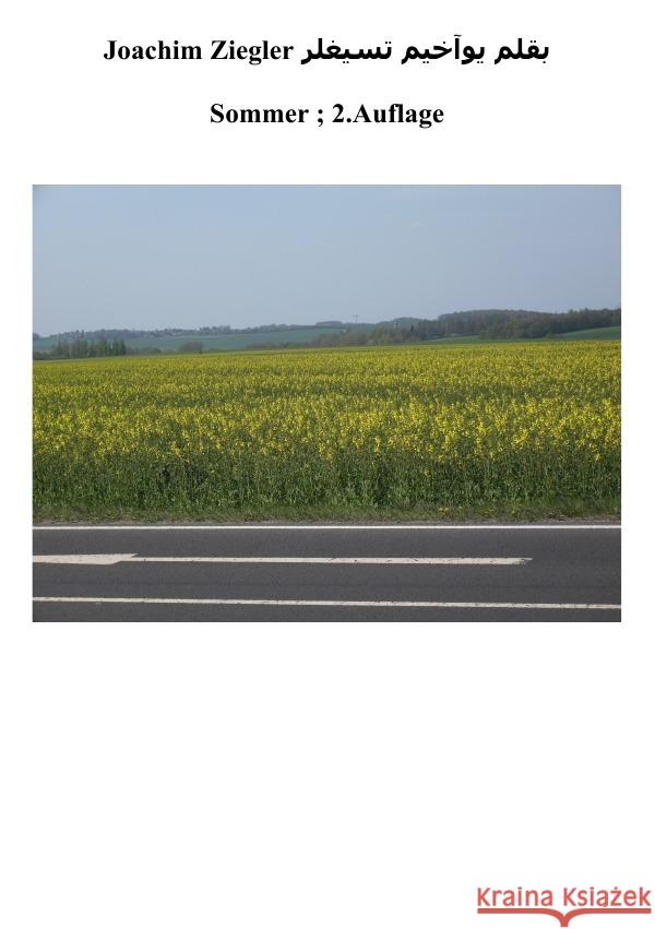 Sommer ; 2.Auflage Ziegler, Joachim 9783750255111 epubli - książka
