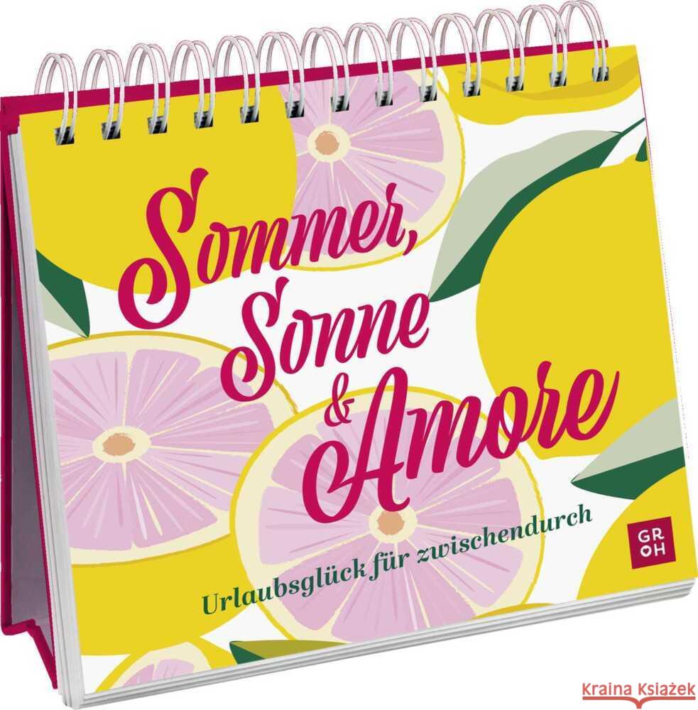 Sommer, Sonne & Amore  9783848503087 Groh Verlag - książka
