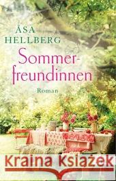 Sommerfreundinnen : Roman Hellberg, Åsa 9783548612058 List TB. - książka