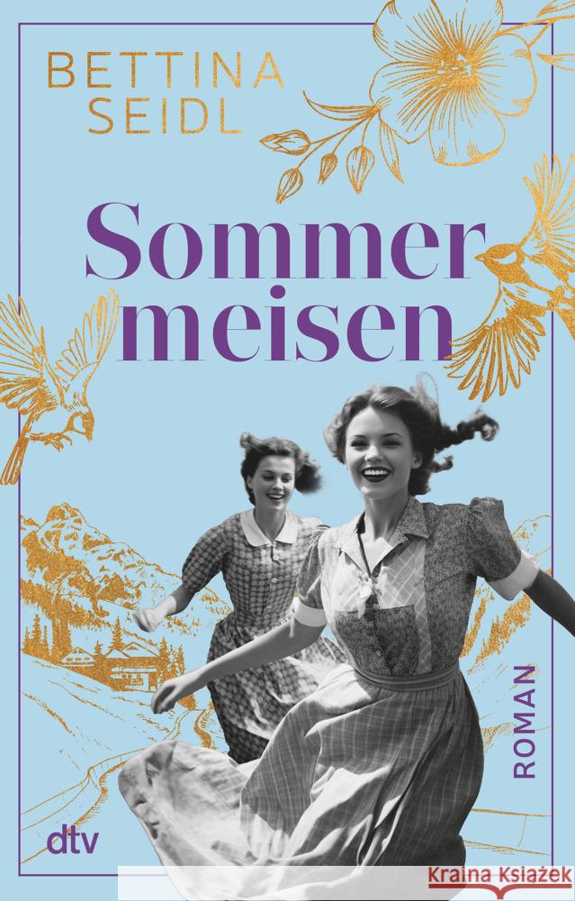 Sommermeisen Seidl, Bettina 9783423220576 DTV - książka