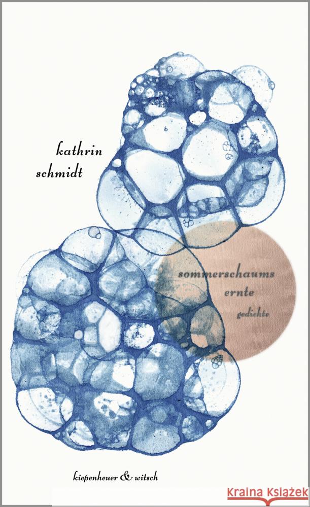 sommerschaums ernte Schmidt, Kathrin 9783462053906 Kiepenheuer & Witsch - książka