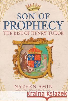 Son of Prophecy: The Rise of Henry Tudor Nathen Amin 9781398110472 Amberley Publishing - książka